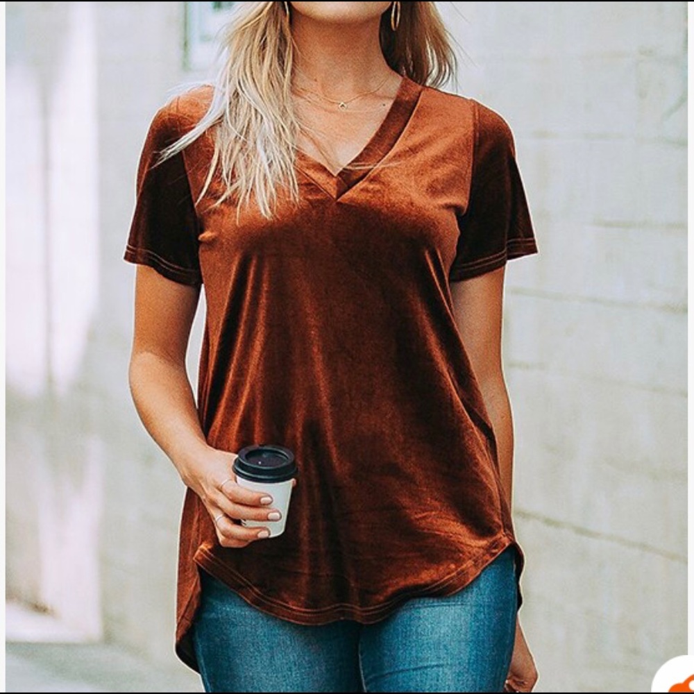 Amaryllis Velvet Hi-Low Shirt EUC